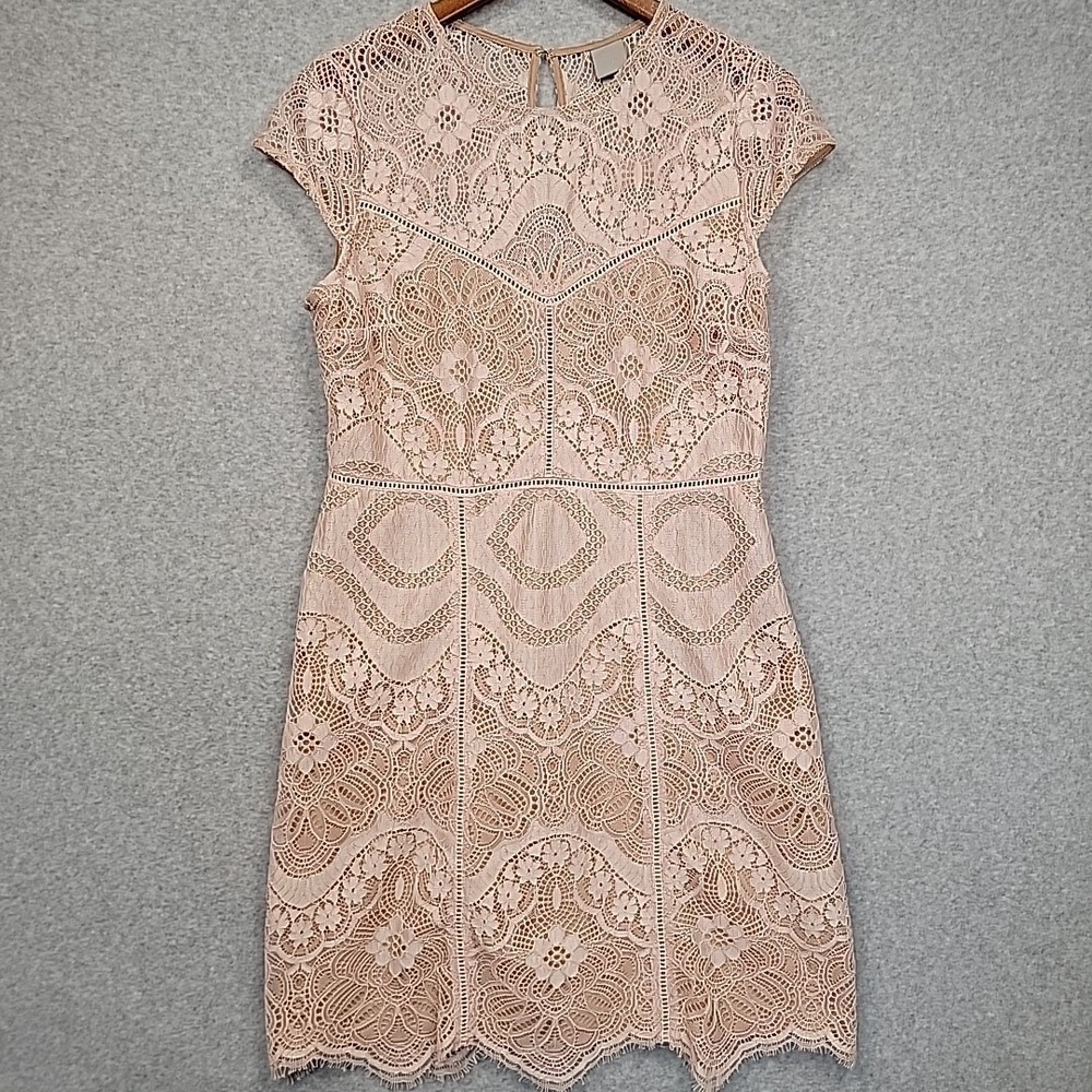 H&M Dress Blush Lace Cap Sleeve Knee Length Keyhole Back Wedding Guest Womens 10
